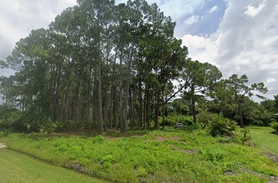 Port Charlotte Waterway Area Lot For Sale in Port Charlotte Florida