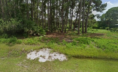Buildable 0.23-acre vacant parcel in Port Charlotte located on a - photo 3