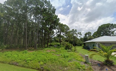 Buildable 0.23-acre vacant parcel in Port Charlotte located on a - photo 4