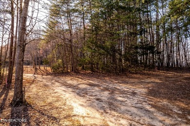 Gorgeous rolling farm land in Monroe County with mountain views - photo 16
