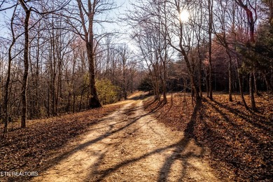 Gorgeous rolling farm land in Monroe County with mountain views - photo 17