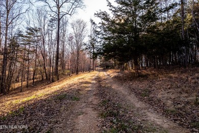 Gorgeous rolling farm land in Monroe County with mountain views - photo 18