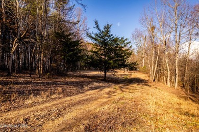Gorgeous rolling farm land in Monroe County with mountain views - photo 19