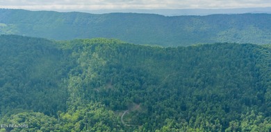 Norris Lake Acreage For Sale in New Tazewell Tennessee