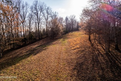Gorgeous rolling farm land in Monroe County with mountain views - photo 26
