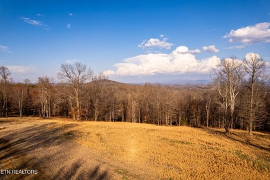 Gorgeous rolling farm land in Monroe County with mountain views - photo 27