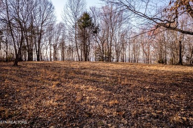 Gorgeous rolling farm land in Monroe County with mountain views - photo 28