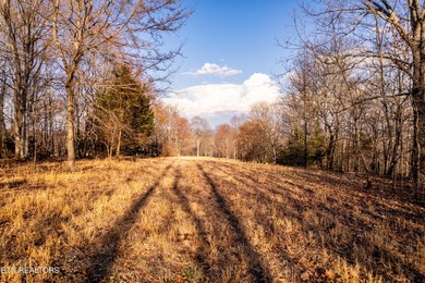 Gorgeous rolling farm land in Monroe County with mountain views - photo 29
