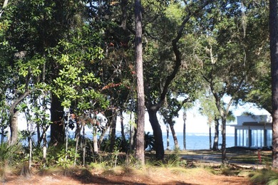 Bay Living! Tucked away on a quiet private road in the heart of - photo 30