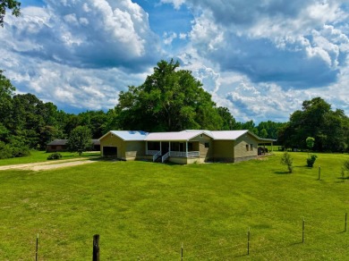 Lake Home For Sale in Frankville, Alabama