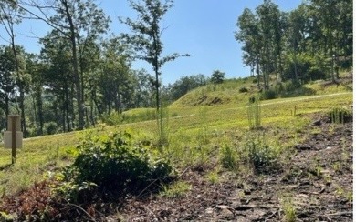 Lake Nottely Lot For Sale in Blairsville Georgia