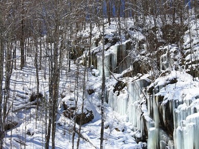 Additional listing photo 4