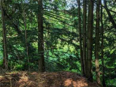 (private lake, pond, creek) Lot For Sale in Theresa New York