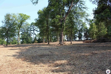 Wright Patman Lake Commercial For Sale in Redwater Texas