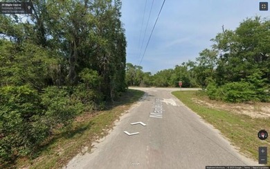 Lake Lot For Sale in Silver Springs, Florida