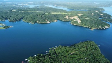 Lake Lot For Sale in Crane Hill, Alabama