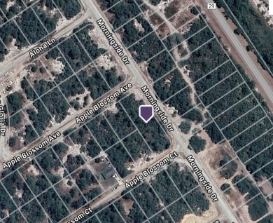 Lake Lot For Sale in Lake Placid, Florida