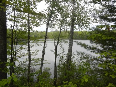 Joyce Lake Acreage For Sale in Land O Lakes Wisconsin