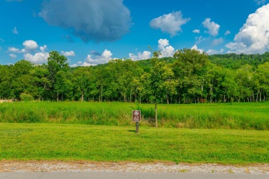 (private lake, pond, creek) Lot For Sale in Dunlap Tennessee