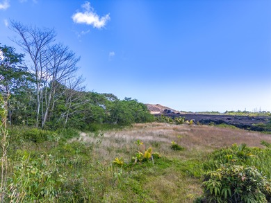 This beautiful gem tucked back in the peaceful Leilani Estates - photo 1