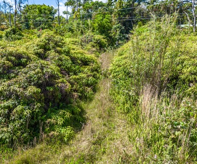 This beautiful gem tucked back in the peaceful Leilani Estates - photo 7
