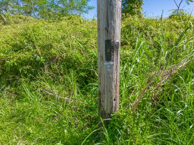 This beautiful gem tucked back in the peaceful Leilani Estates - photo 8