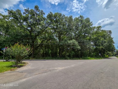 This large corner lot offers a prime opportunity to build your - photo 1