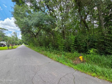 This large corner lot offers a prime opportunity to build your - photo 3