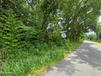 This large corner lot offers a prime opportunity to build your - photo 5