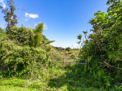 This beautiful gem tucked back in the peaceful Leilani Estates - photo 3