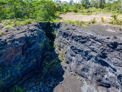 This beautiful gem tucked back in the peaceful Leilani Estates - photo 7