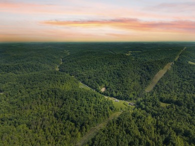 Escape to the beauty of Eastern Kentucky with this exceptional - photo 1