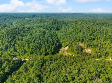 Escape to the beauty of Eastern Kentucky with this exceptional - photo 5