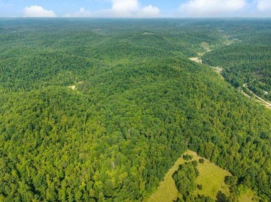 Escape to the beauty of Eastern Kentucky with this exceptional - photo 8