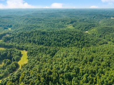 Escape to the beauty of Eastern Kentucky with this exceptional - photo 9