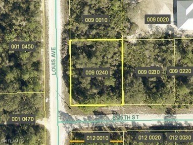 Lehigh Acres Area Lot For Sale in Alva Florida