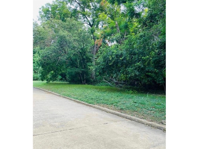 Lake Lot For Sale in Cedar Hill, Texas