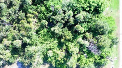 An excellent opportunity awaits with this spacious vacant lot in - photo 3