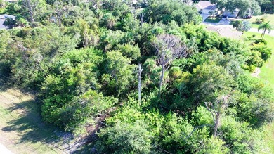 An excellent opportunity awaits with this spacious vacant lot in - photo 8