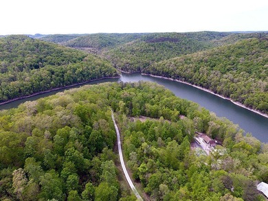71 acre lake view building lot RIGHT up the hill from a very - photo 6