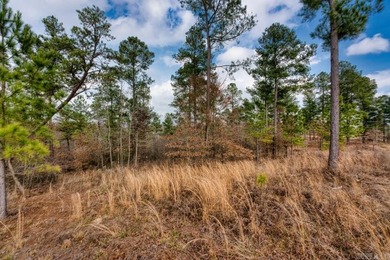 Welcome to your serene retreat in the heart of nature! Minutes - photo 1