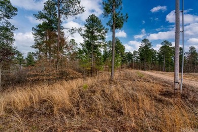 Welcome to your serene retreat in the heart of nature! Minutes - photo 2