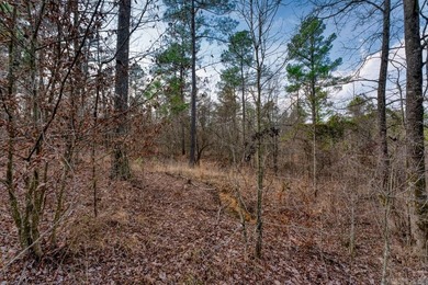 Welcome to your serene retreat in the heart of nature! Minutes - photo 5