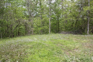 79 acre building lot right up the hill from a very convenient - photo 7
