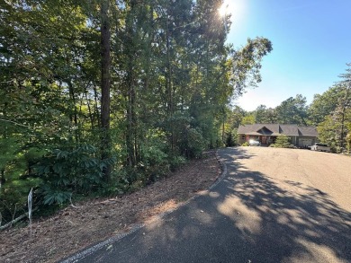 Lake Acreage For Sale in Ellijay, Georgia