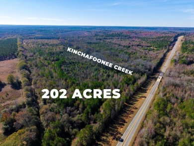 Lake Acreage For Sale in Buena Vista, Georgia