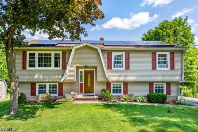 Lake Home For Sale in Vernon Twp., New Jersey