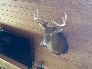 Two Ponds Duck Club is a premier duck hunting tract totaling 650 - photo 18
