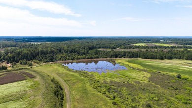 Two Ponds Duck Club is a premier duck hunting tract totaling 650 - photo 24
