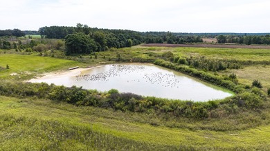 Two Ponds Duck Club is a premier duck hunting tract totaling 650 - photo 30